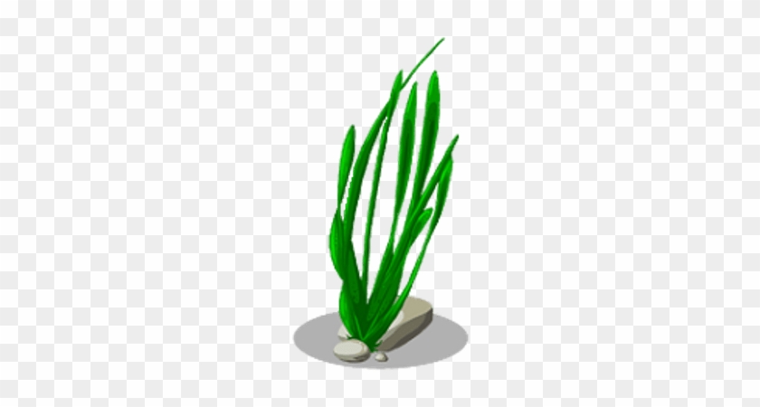 Seaweed Png No Background #1734274