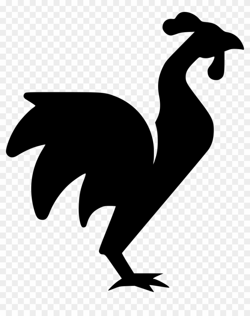 Rooster Comments - Illustration #1734498