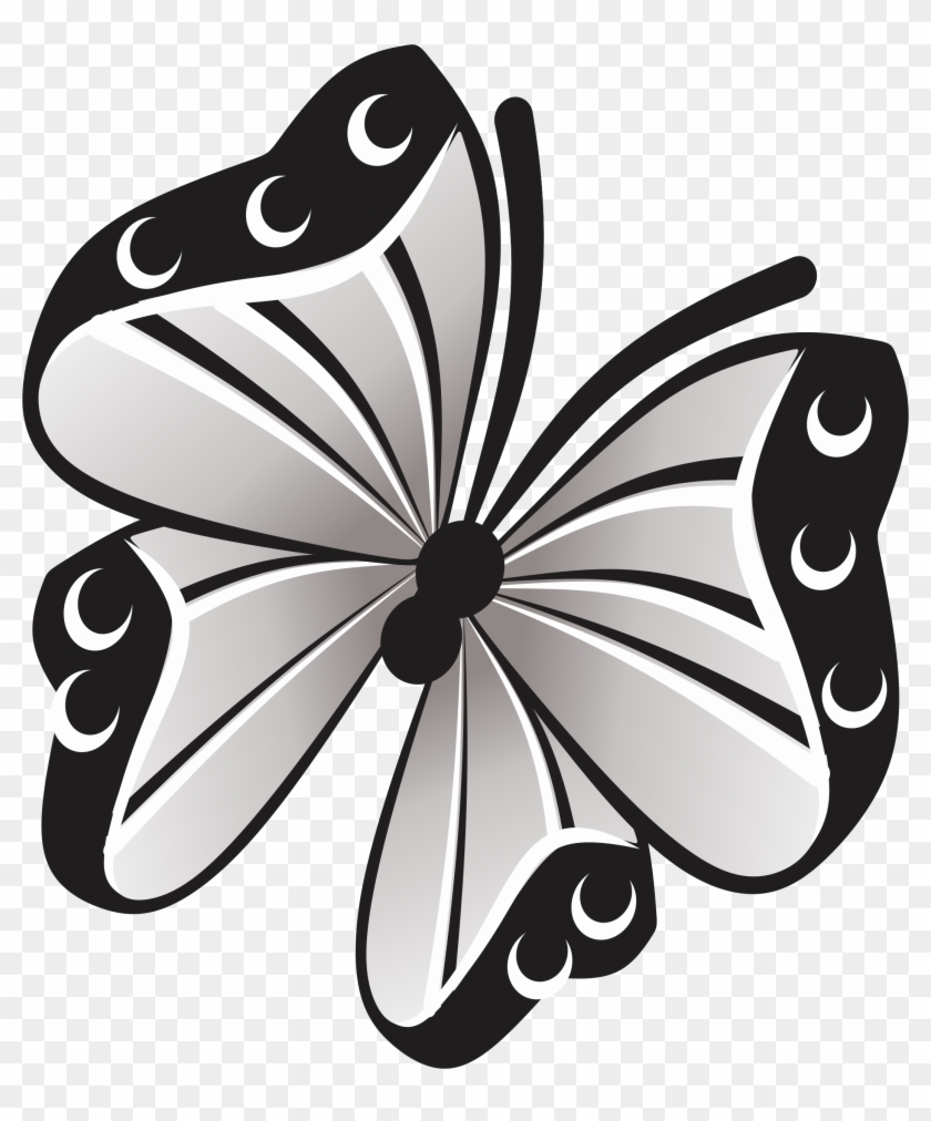 Visit - Butterfly #1736018