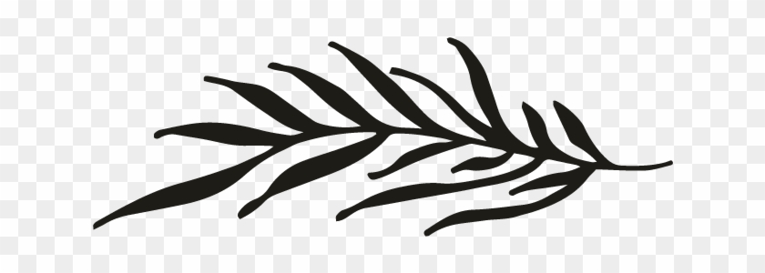 Branch - Branch #1736158