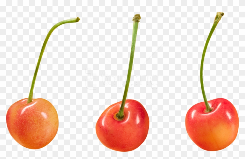 Free Png Download Cherry Clipart Png Photo Png Images - Png Free For Commercial Use #1737289