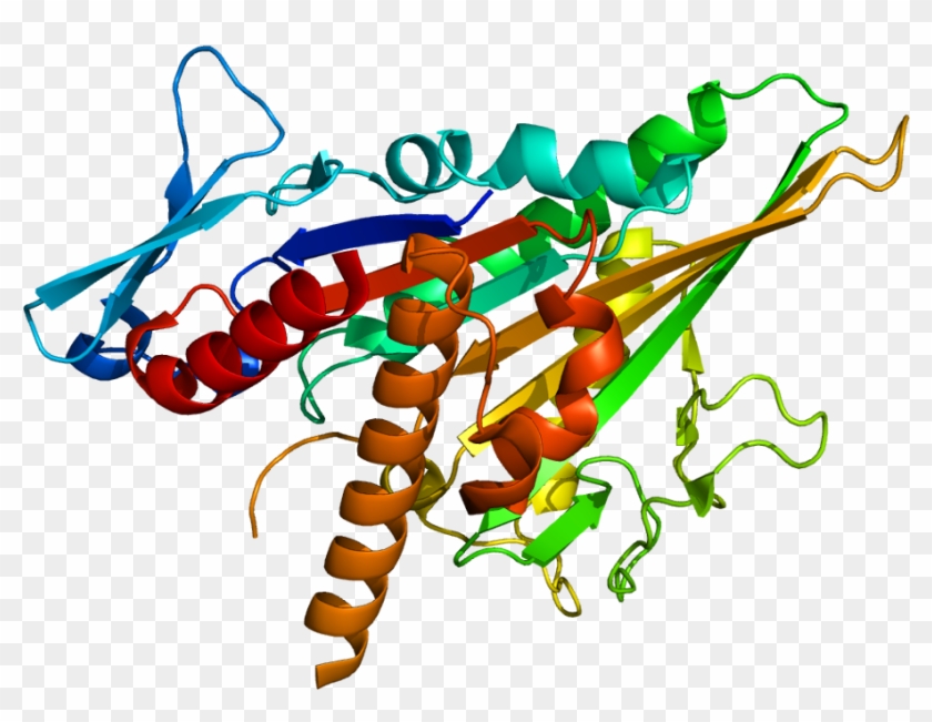 Gfap Structure #1738656