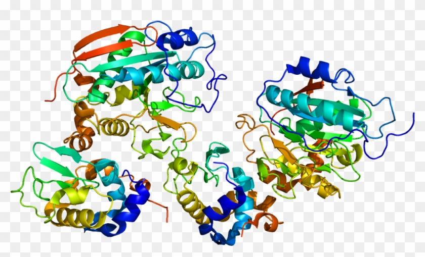 B4galt1 Structure #1738661