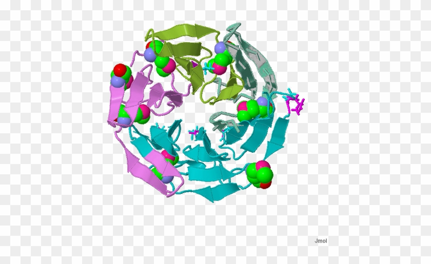 35 Angstrom Dgr Structure Of The Kelch Domain Of Keap1 - Graphic Design #1738672