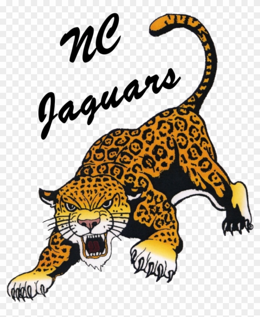 Northern Cass School Logo #1738779