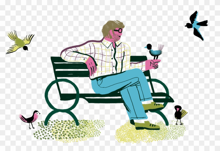 'climate Change Isn't Only Reason For Bird Decline' - Sitting #1738887