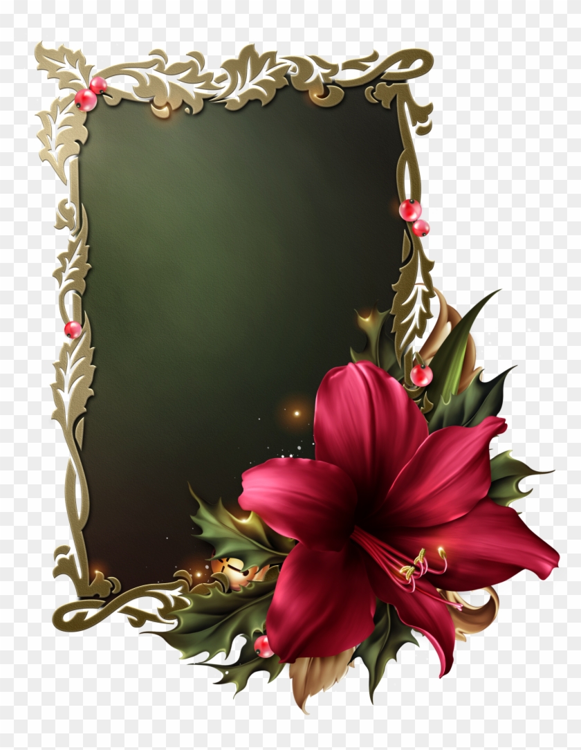 Festive Amarylis - Romantic Orchids Moonbeam 1212 Elements Png #1739391