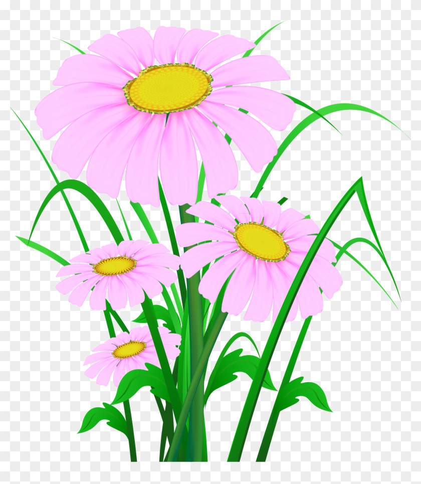 Transparent Pink Daisies Png Clipart - Transparent Pink Daisies Png Clipart #1739896