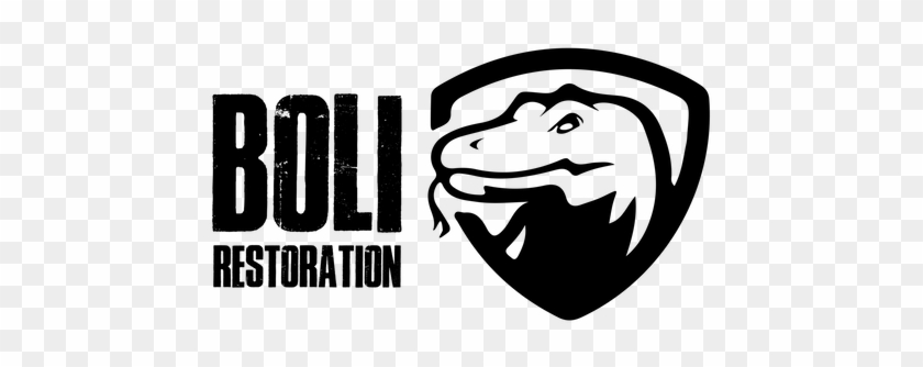 Boli Restoration - Graphic Design #1740402