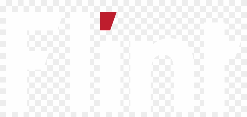 Flint Technology - Flint Technology #1740614