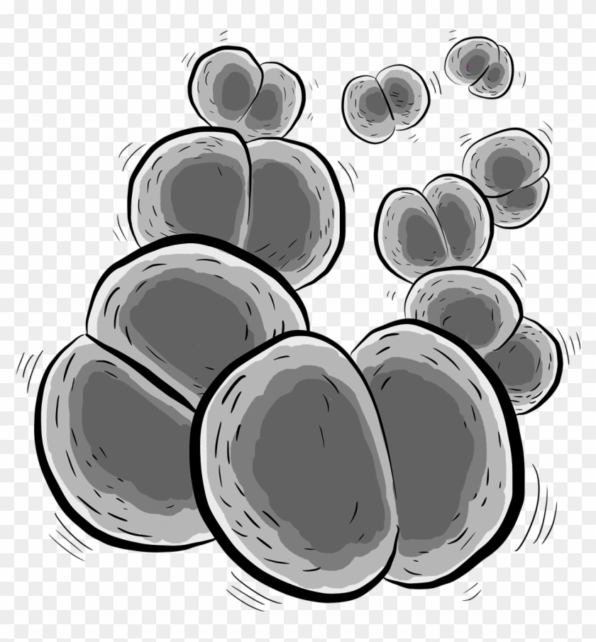Bacteria Bacterium Neisseria Meningitidis - Meningococcus #1740939