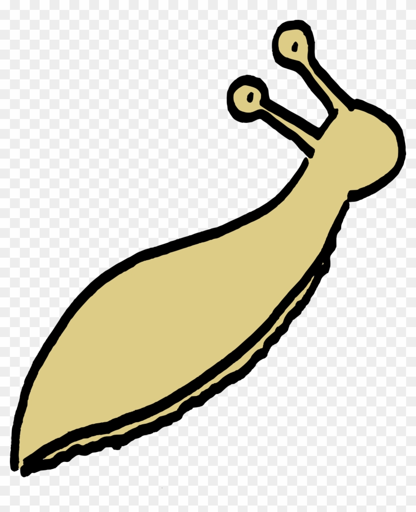 Slug Small - Slug Small #1742497