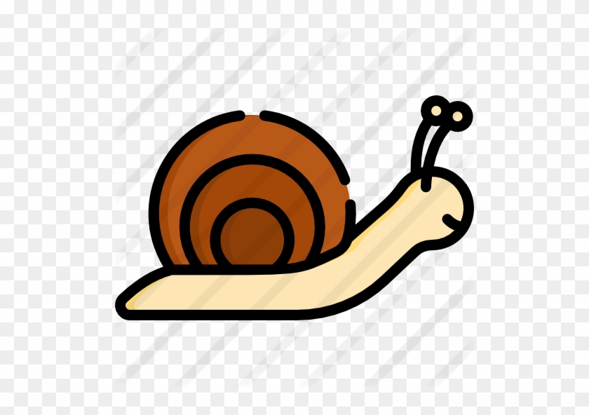 Snail Free Icon - Snail Free Icon #1742508