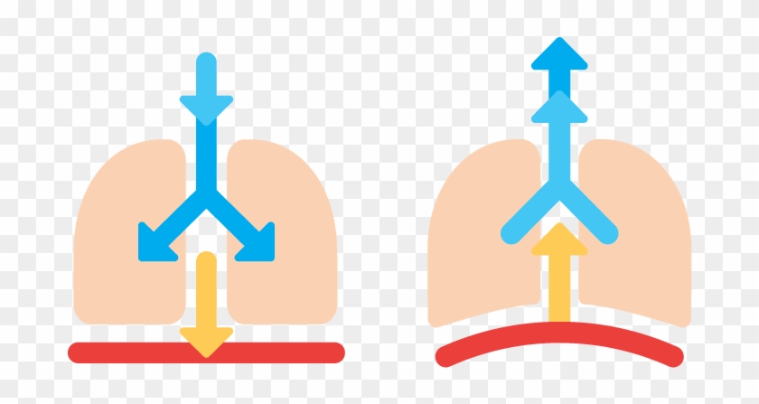 The Del Ferro Method Is Built Up In 2 Phases - The Del Ferro Method Is Built Up In 2 Phases #1743955