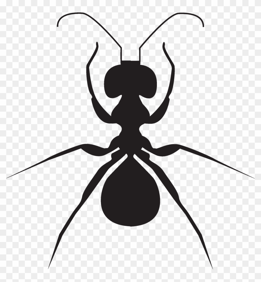Ant Clipart , Png Download - Ant #1744303