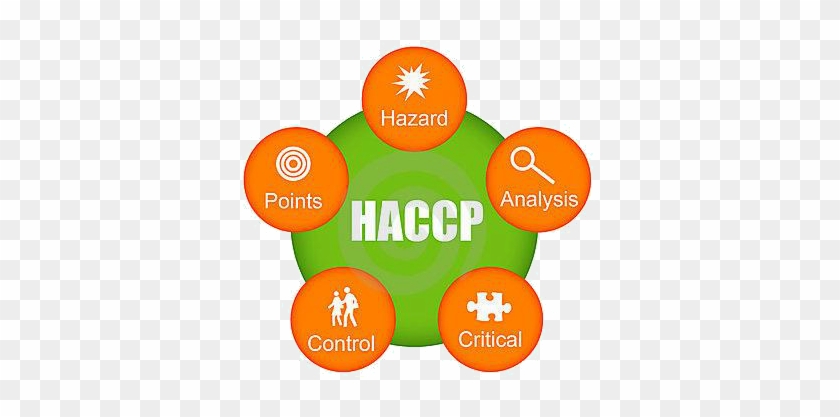 Haccp Transparent Boston Baking Inc - Hazard Analysis And Critical Control Point #1744635