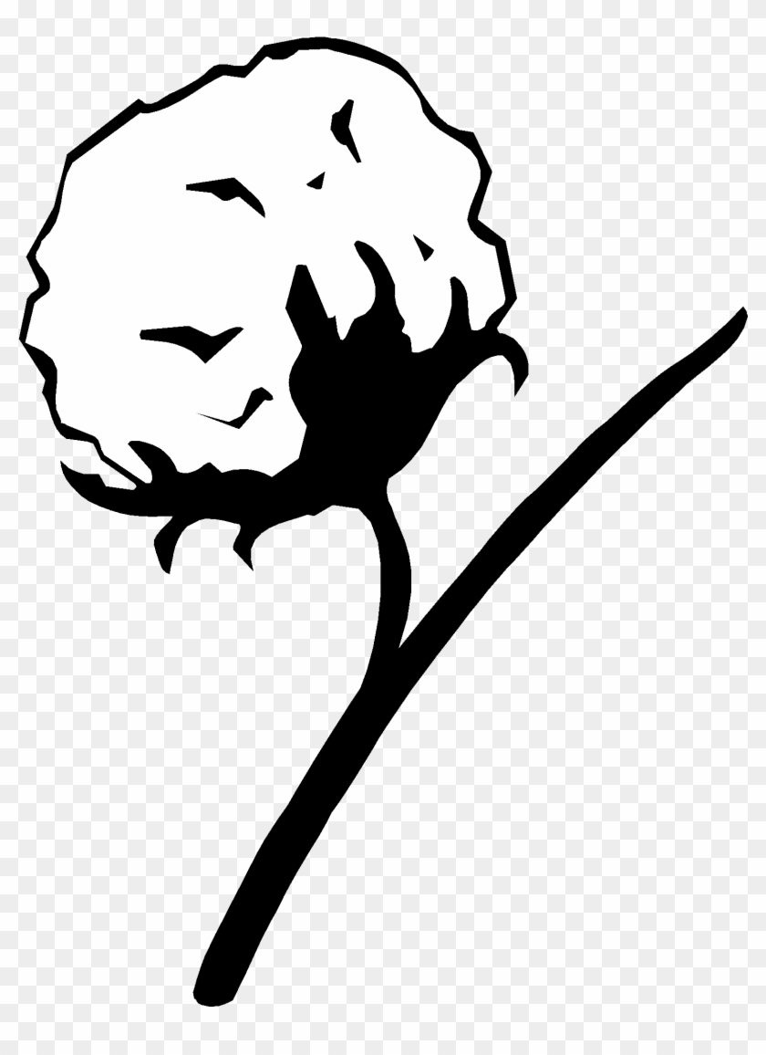 Cotton Plant Drawing #1745035