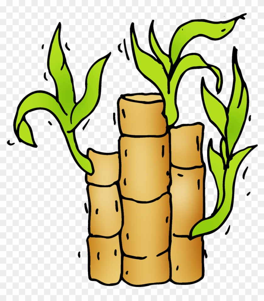 Bamboo - Bamboo #1746013