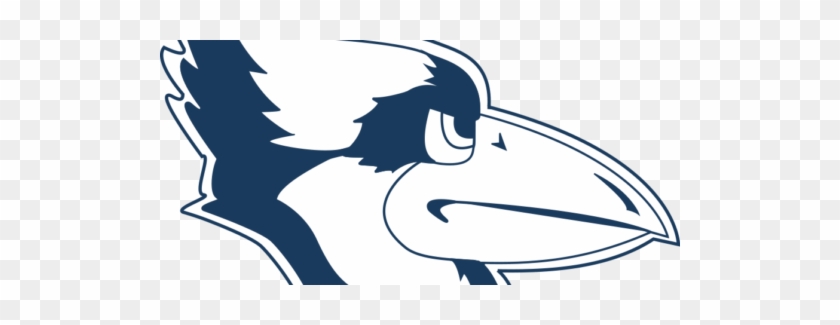 Women's Basketball - Westminster College Fulton Mo Mascot #1746891
