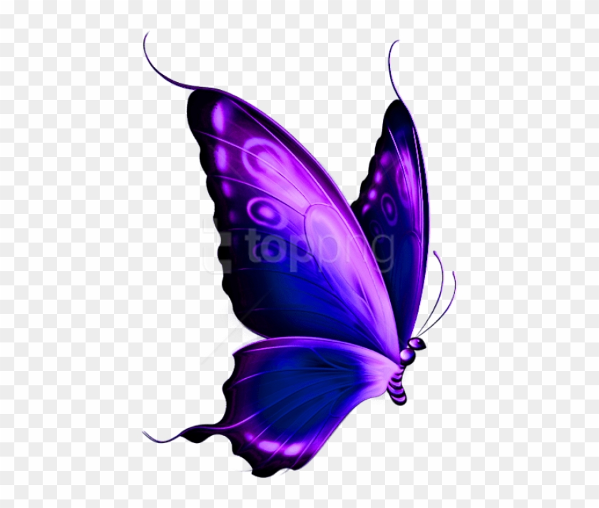 Free Png Download Transparent Blue And Purple Deco - Transparent Background Butterfly Png #1747119