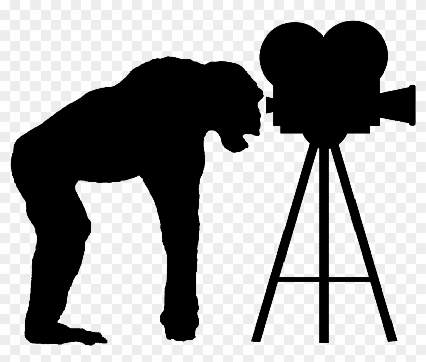 Primate Planet Productions - Primate Planet Productions #1747875