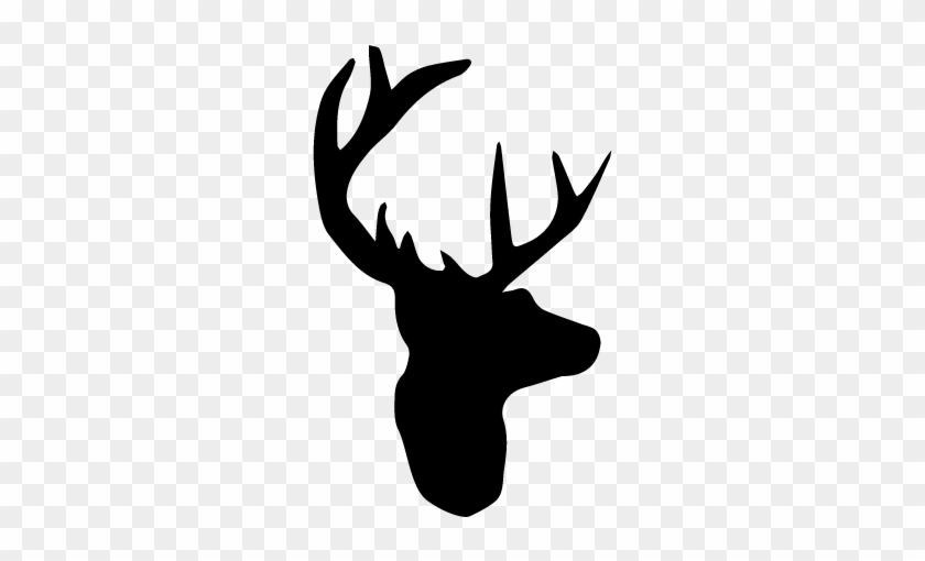 Pin By Andrew Tulloch On Tattoo Ideas - Bethel Music Buck Logo #1747885
