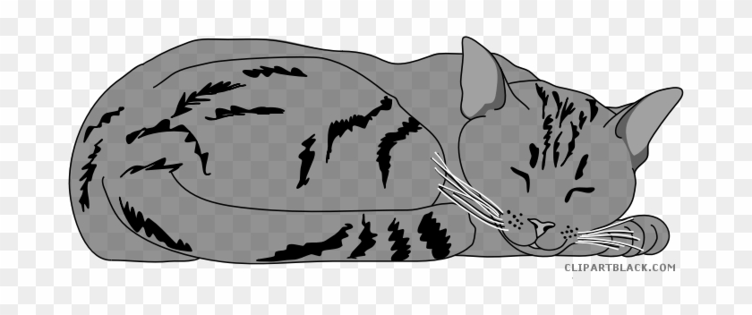 Cat Large Animal Free Black White Clipart Images Clipartblack - Намалювати Кота #1749335