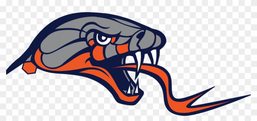 Dallas Rattlers Logo #1749601