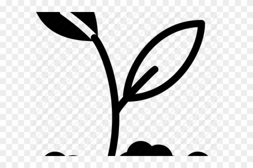 Soil Clipart Flower Growth - Soil Clipart Flower Growth #1750072