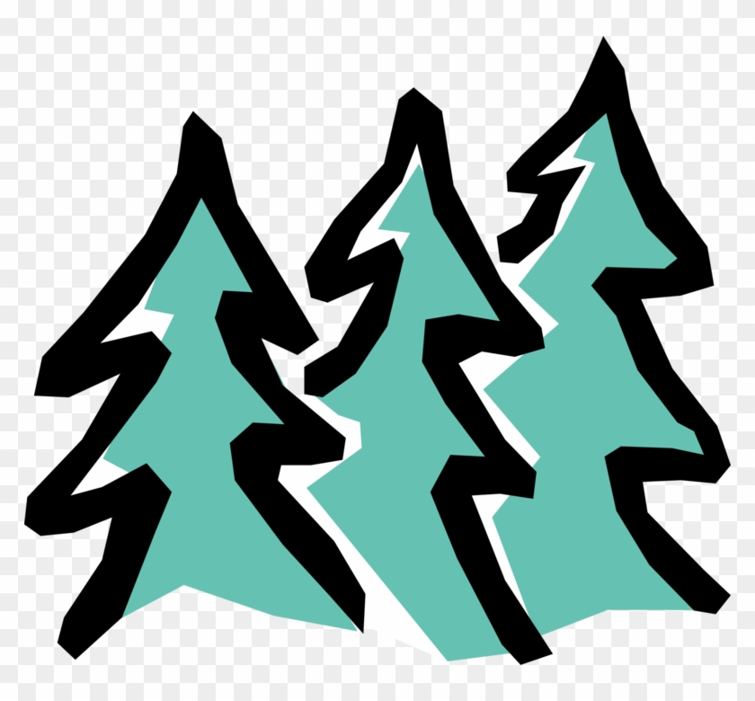 Vector Illustration Of Coniferous Evergreen Fir Trees - Vector Illustration Of Coniferous Evergreen Fir Trees #1750213