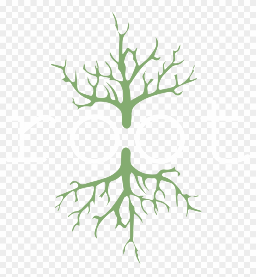 Root-01 Format=1500w - Root-01 Format=1500w #1750400