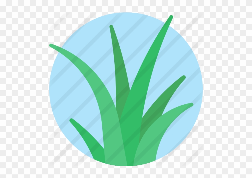 Grass Free Icon - Grass Free Icon #1750479