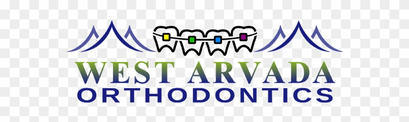 Friedman Is An Experienced Orthodontist With A Passion - Friedman Is An Experienced Orthodontist With A Passion #1750513