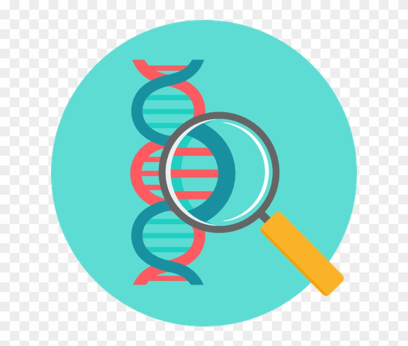 1200 X 630 7 - Biology Png #1750592