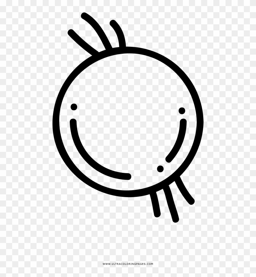 Onion Coloring Page - Circle #1750935