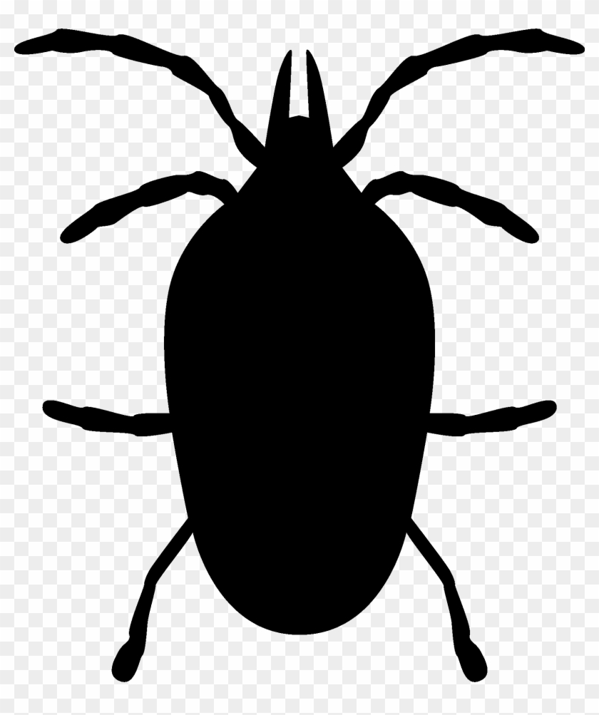 Flea - Weevil #1751448