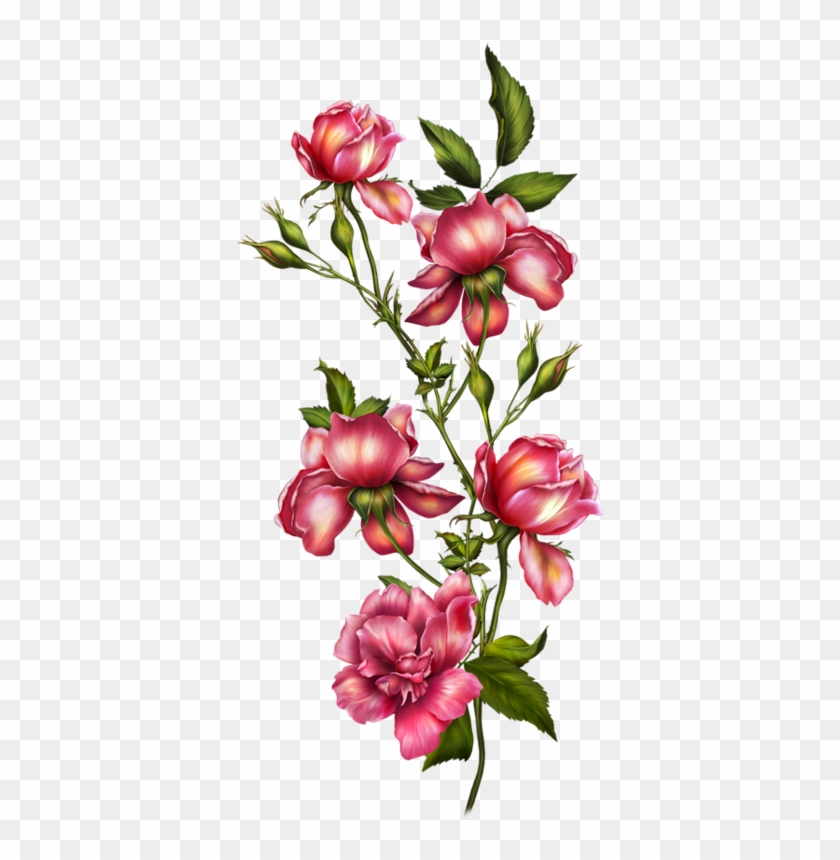 Leaf Flowers, Botanical Flowers, Botanical Art, Vintage - Alice In Wonderland Flowers Png #1751488