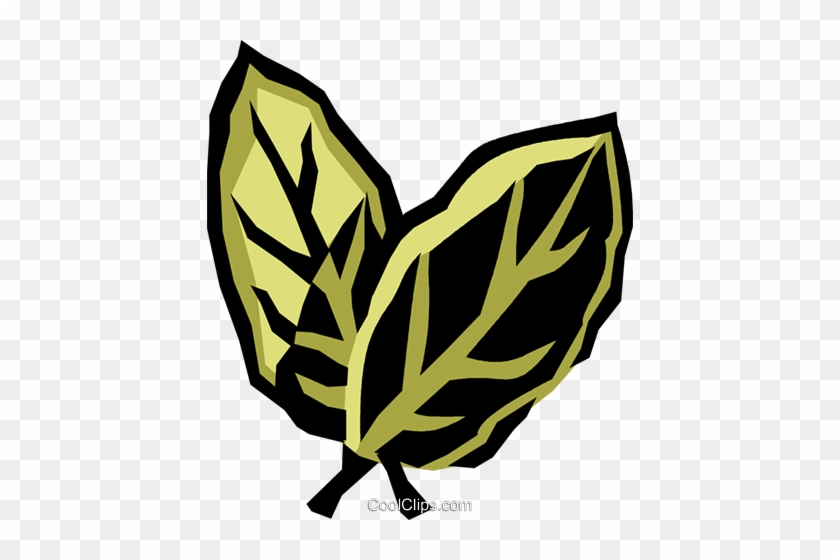 Bay Leaves Royalty Free Vector Clip Art Illustration - Simpatias De São João #1751613