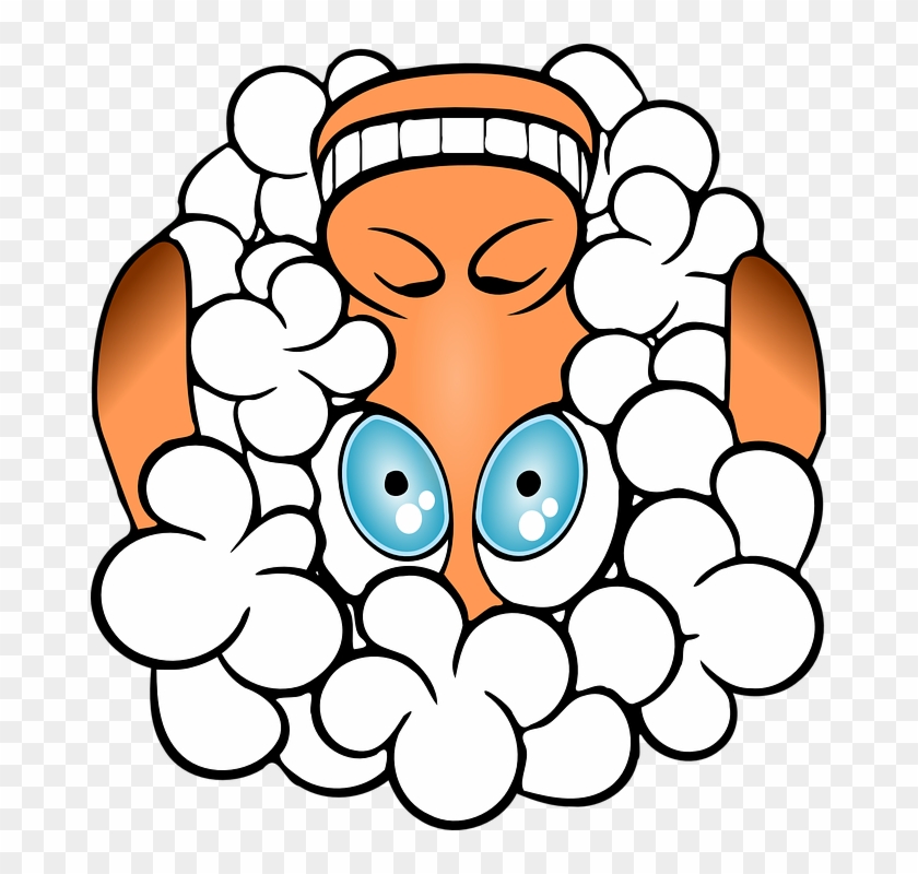 Sheep-156163 960 720 - Sheep-156163 960 720 #1752209