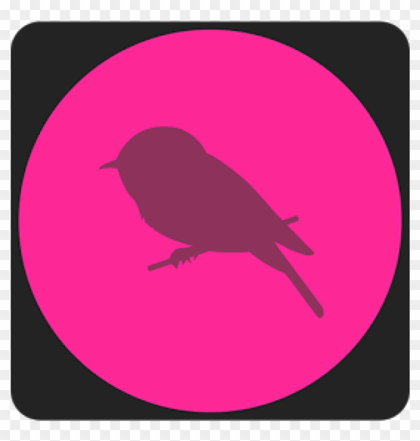 Clip Art Free Library Best Sound Machine Apps For Android - Perching Bird #1753578