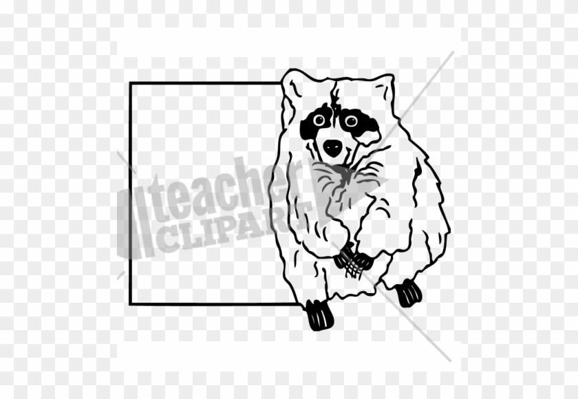 Canada Raccoon Text Box - Procyon #1753902