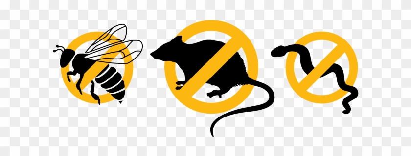 Ezrvent No Critters Tm & Copyright Icons - Ezrvent No Critters Tm & Copyright Icons #1754164