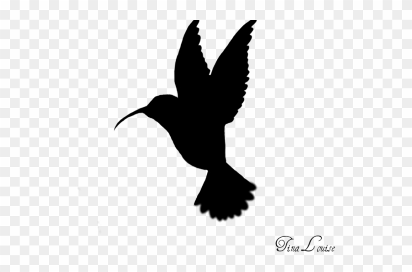 Hummingbird Clipart Humming Bird - Hummingbird Silhouette Png #1754507