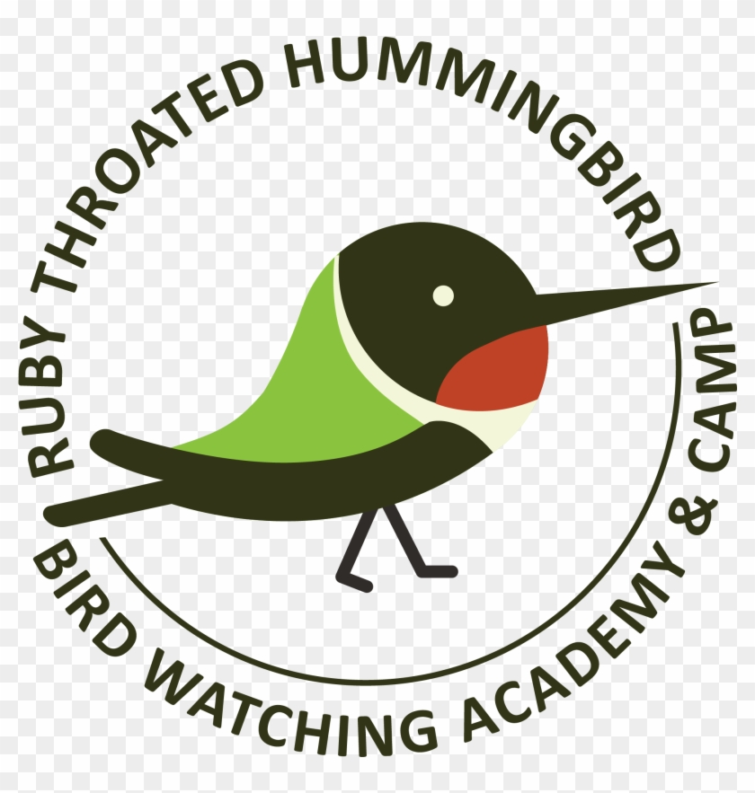 Ruby-throated Hummingbird - Gurukul #1754522