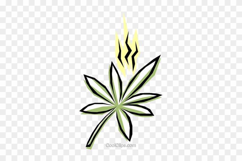 Marijuana Royalty Free Vector Clip Art Illustration - Marijuana Royalty Free Vector Clip Art Illustration #1754956
