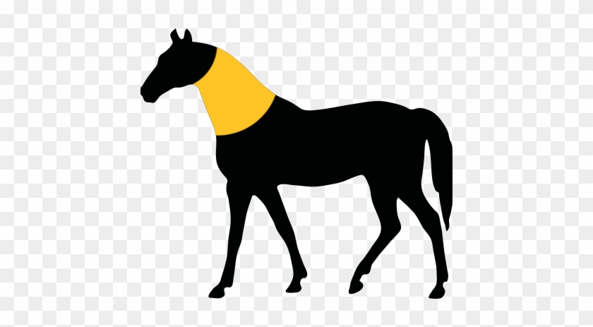 How Would You Describe The Girth Of The Horse - Unicorn Silüet #1755947