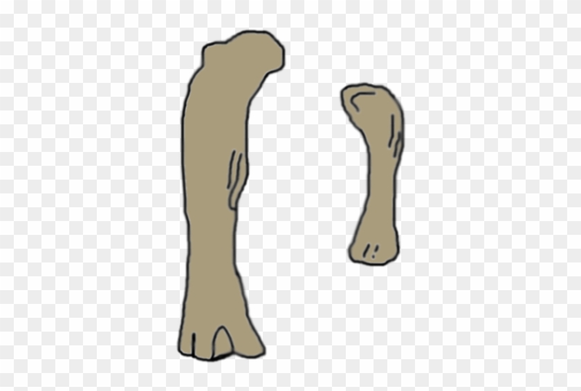 Illustrations Of The Femur And Humerus, To Scale - Aegyptosaurus Fossil #1757230