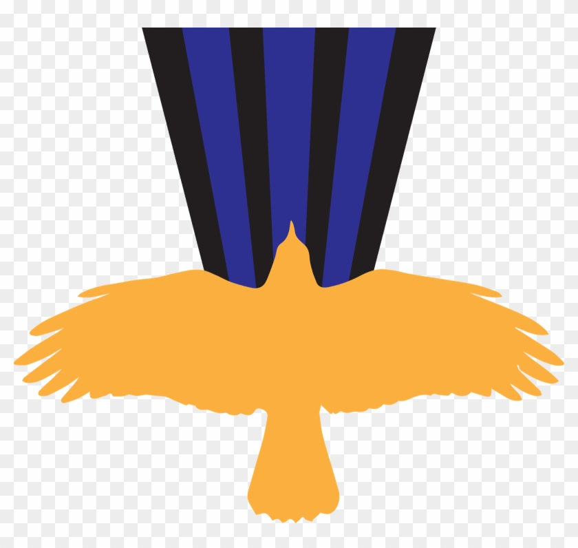 The Second Level Of The Crow Is A Medal Awarded To - Raven's View #1758934