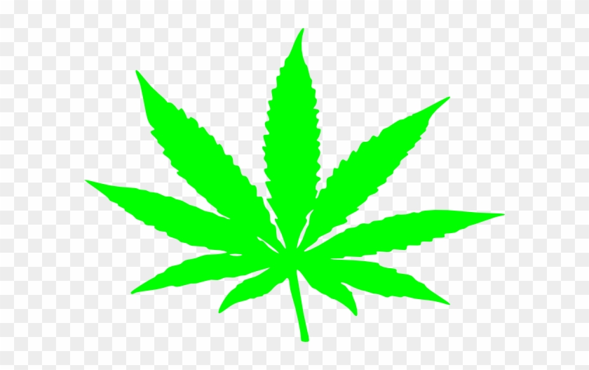 Weed Symbol Clip Art At Clker Com Vector Clip Art Online - University Of Rhode Island #265946