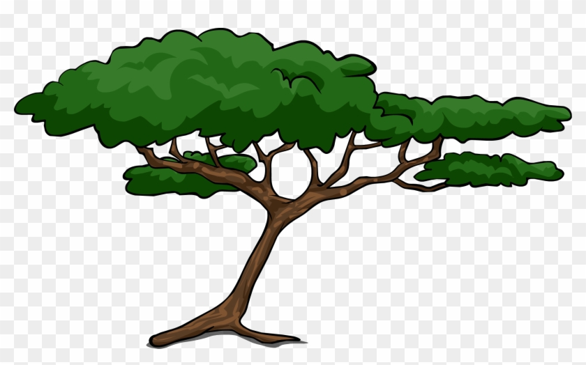 Clipart African Tree Trees - Clip Art Acacia Tree #267027